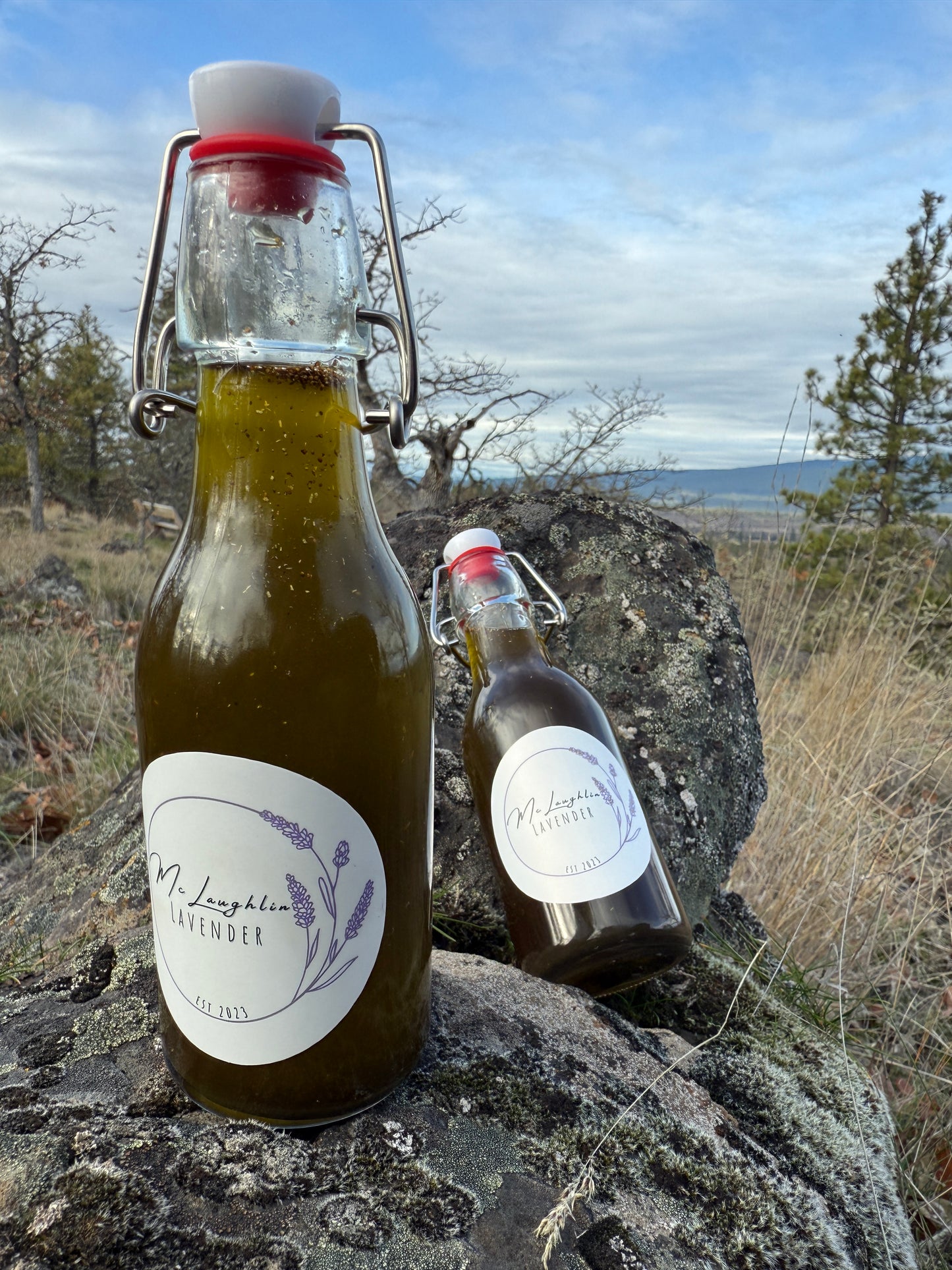 Herbs De Provence infused Olive Oil