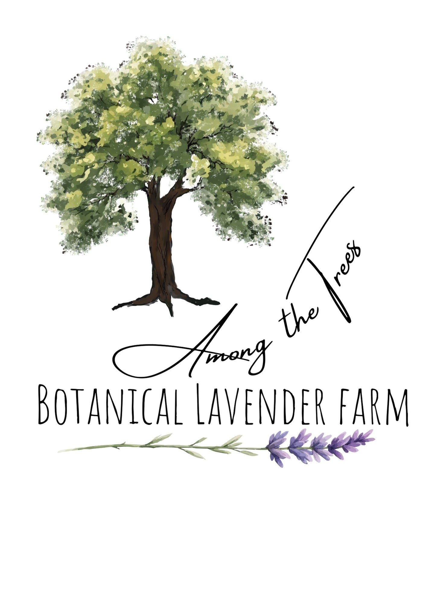 Among the Trees Botanical Lavender Farm Gift Cards