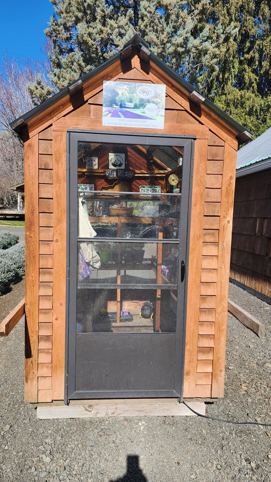 Spring Awakening at McLaughlin Lavender: New Growth, New Beginnings 🌱💜