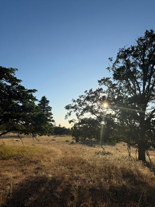 🌾 Not Your Traditional Row Farmers