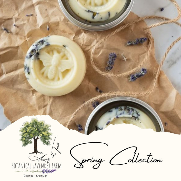 Spring Collection Among the Trees