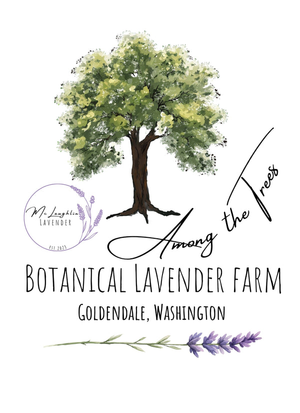 McLaughlin Lavender at Among the Trees Lavender Farm