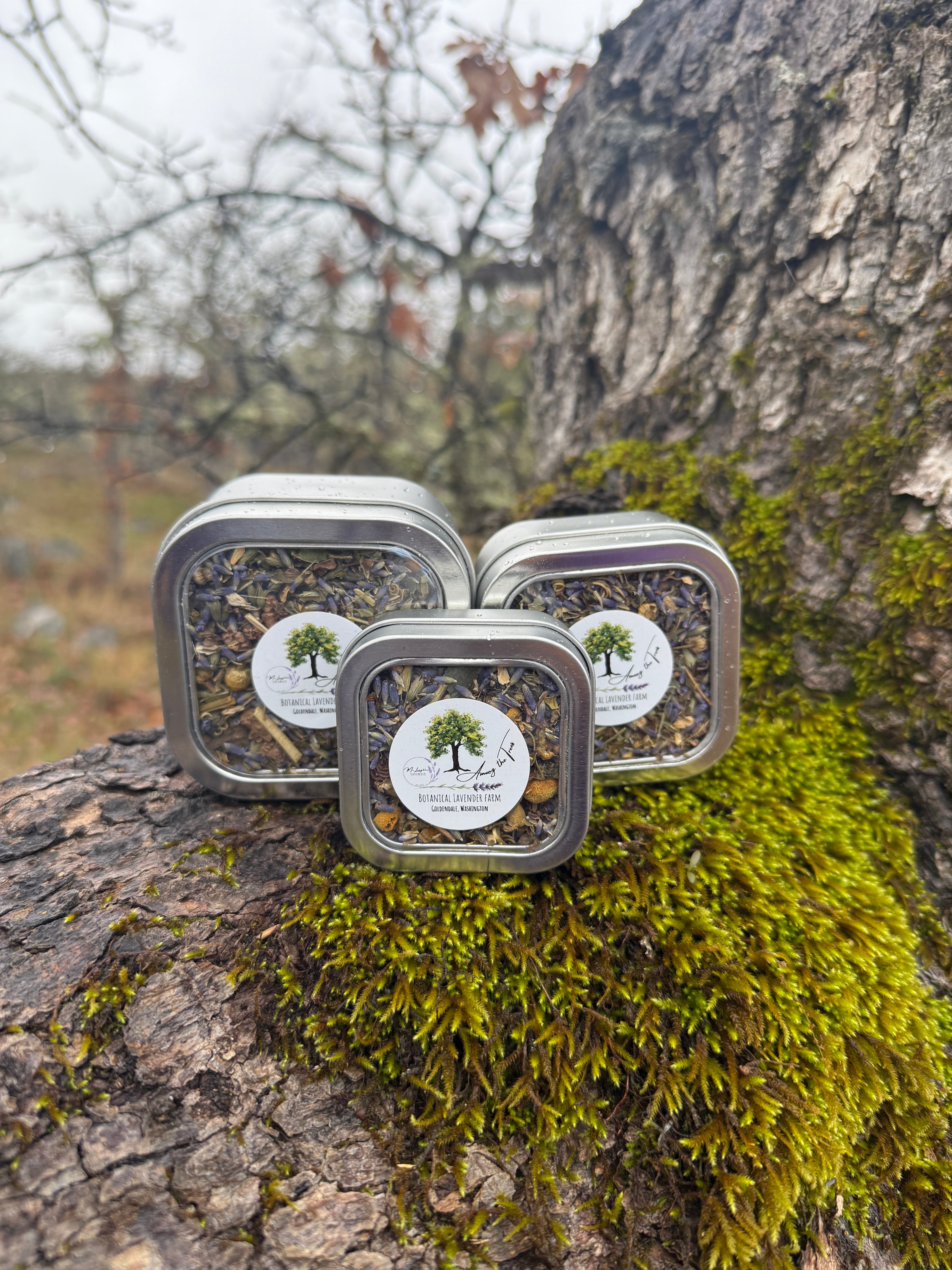 Tranquil Dreams Loose Leaf Tea – Among the Trees Botanical