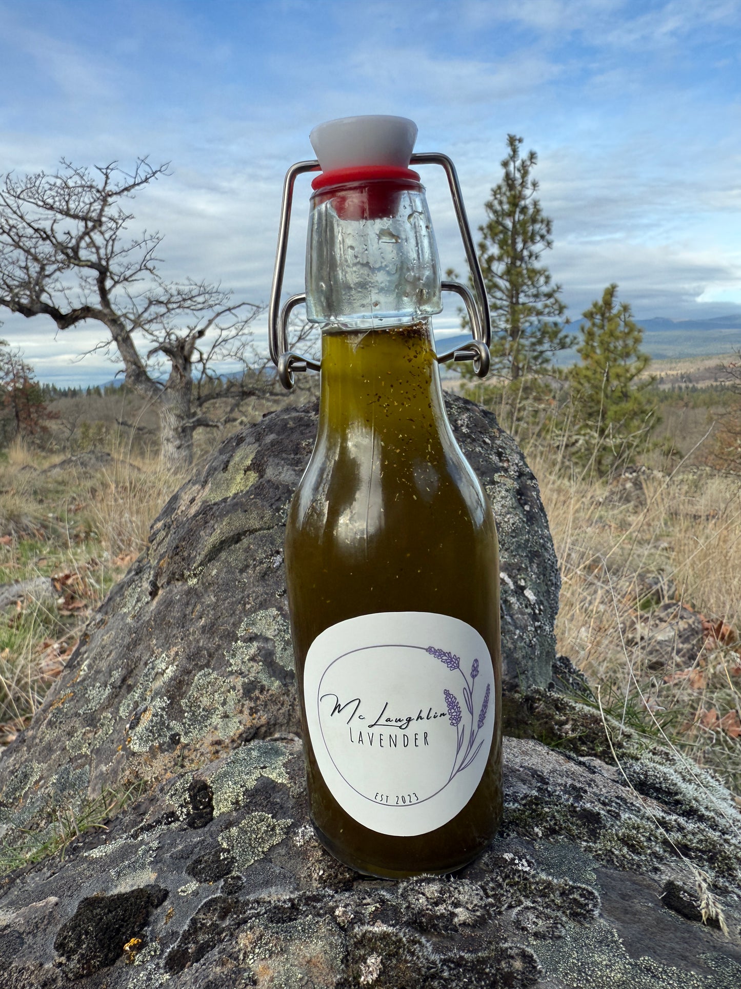 Herbs De Provence infused Olive Oil