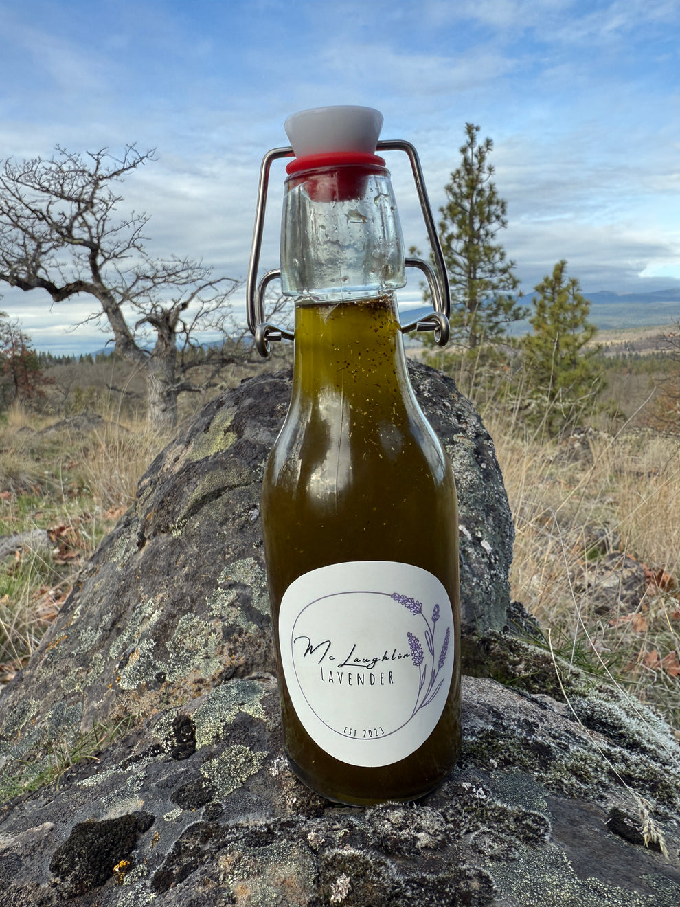 Herbs De Provence infused Olive Oil – McLaughlin Lavender at Among the ...