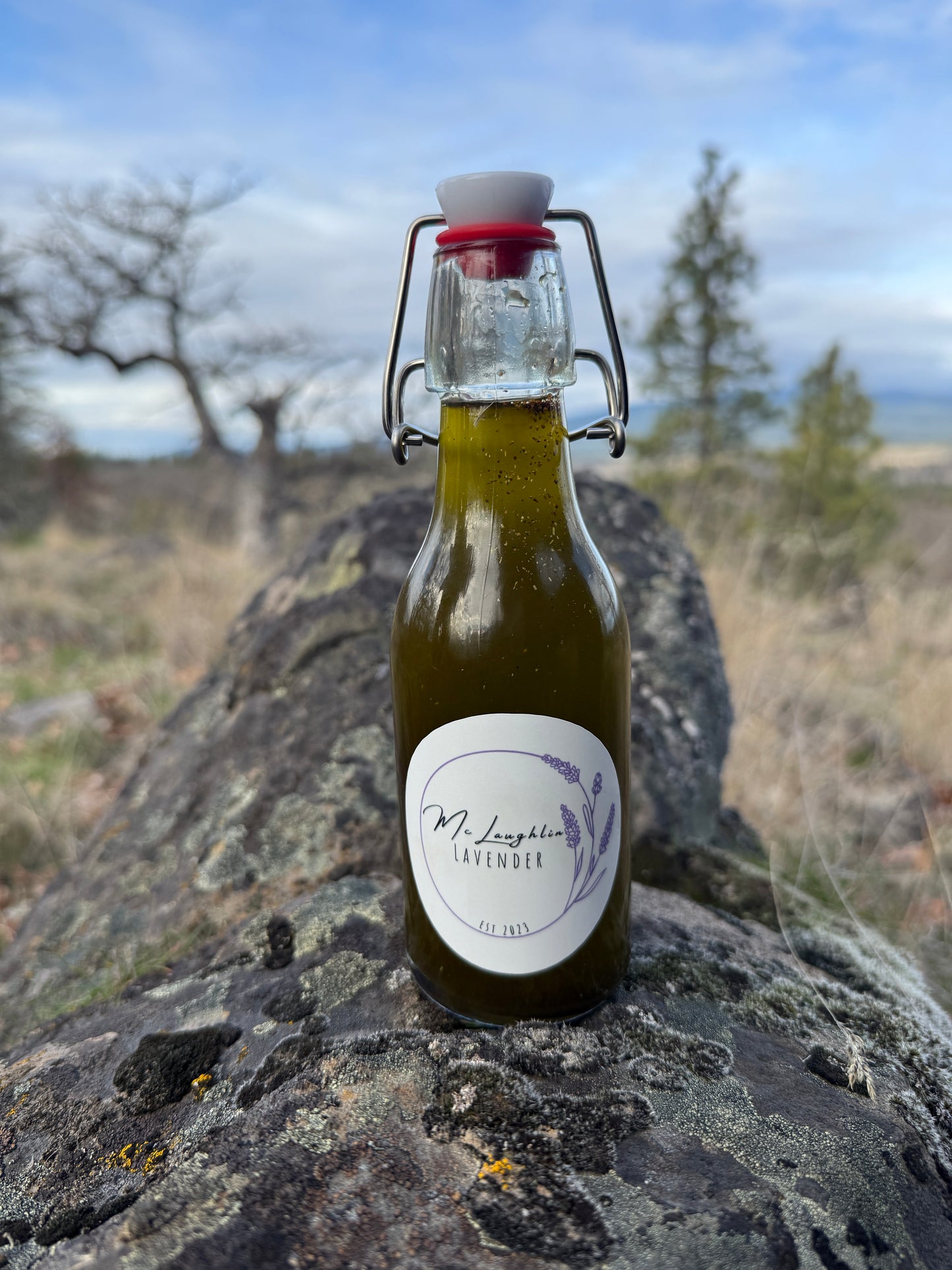 Herbs De Provence infused Olive Oil