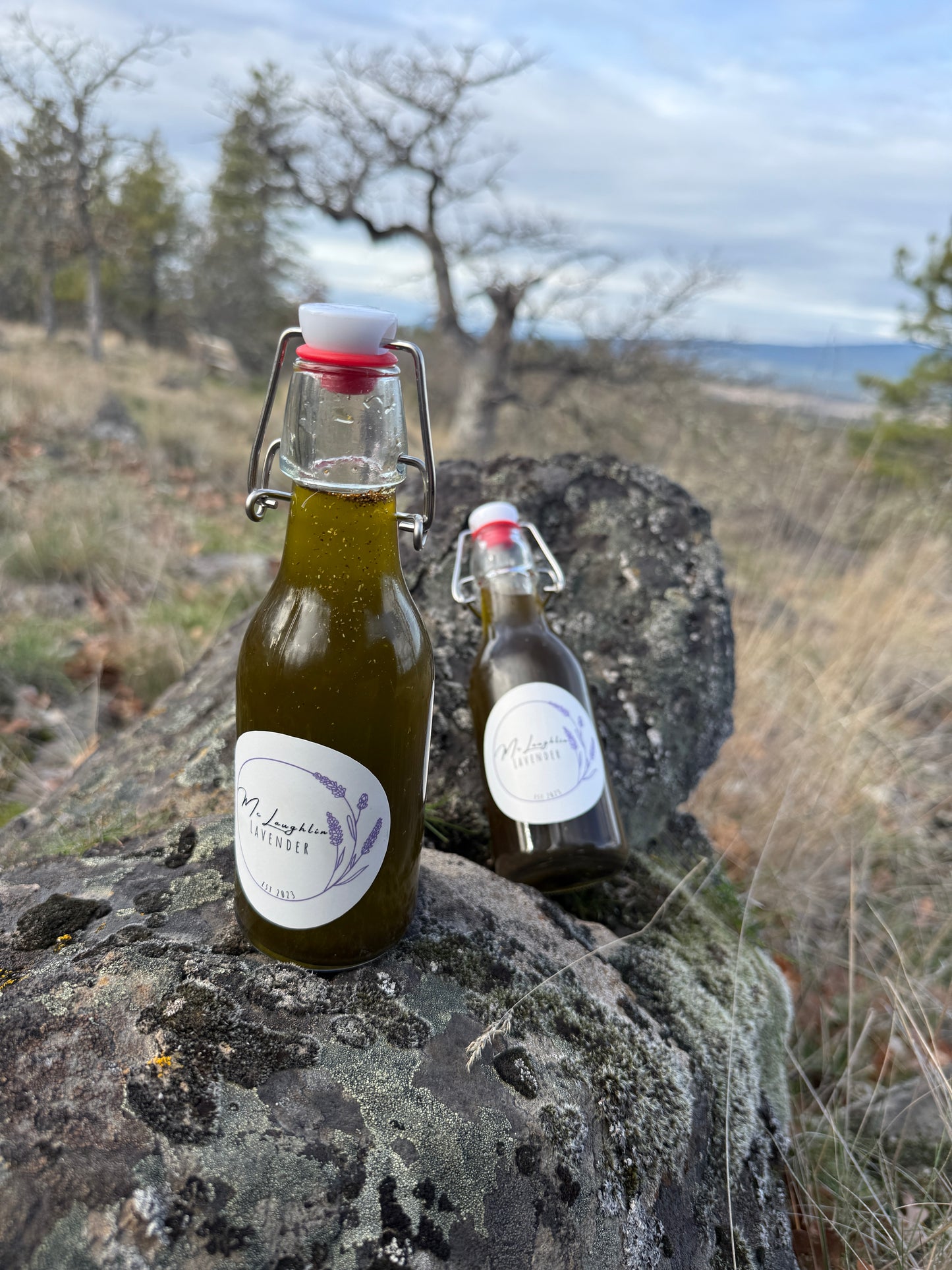 Herbs De Provence infused Olive Oil