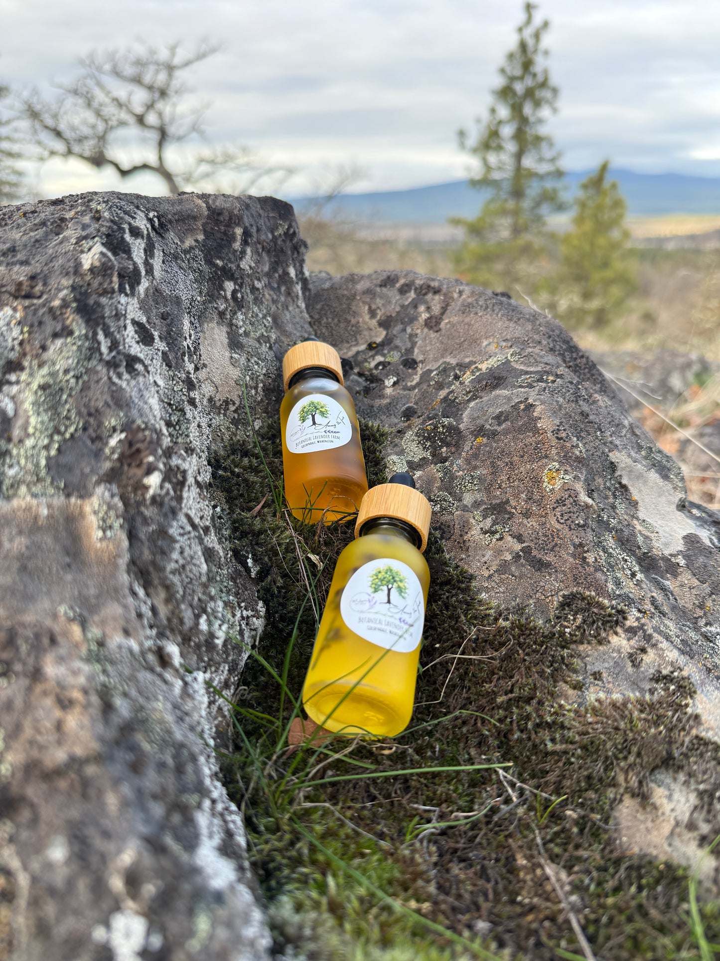 Botanical Infused Face Serum