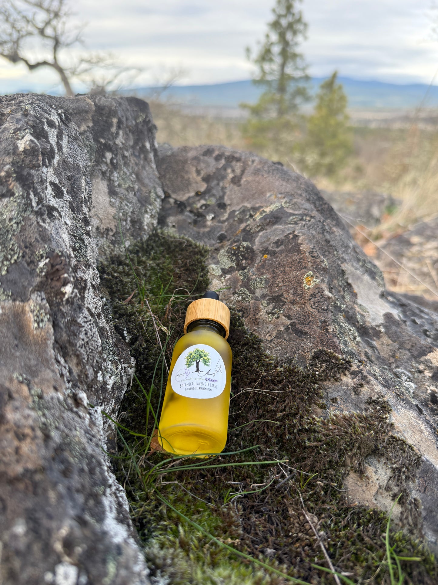 Botanical Infused Face Serum